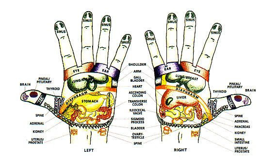 Chakra Chart Hand Reflexology